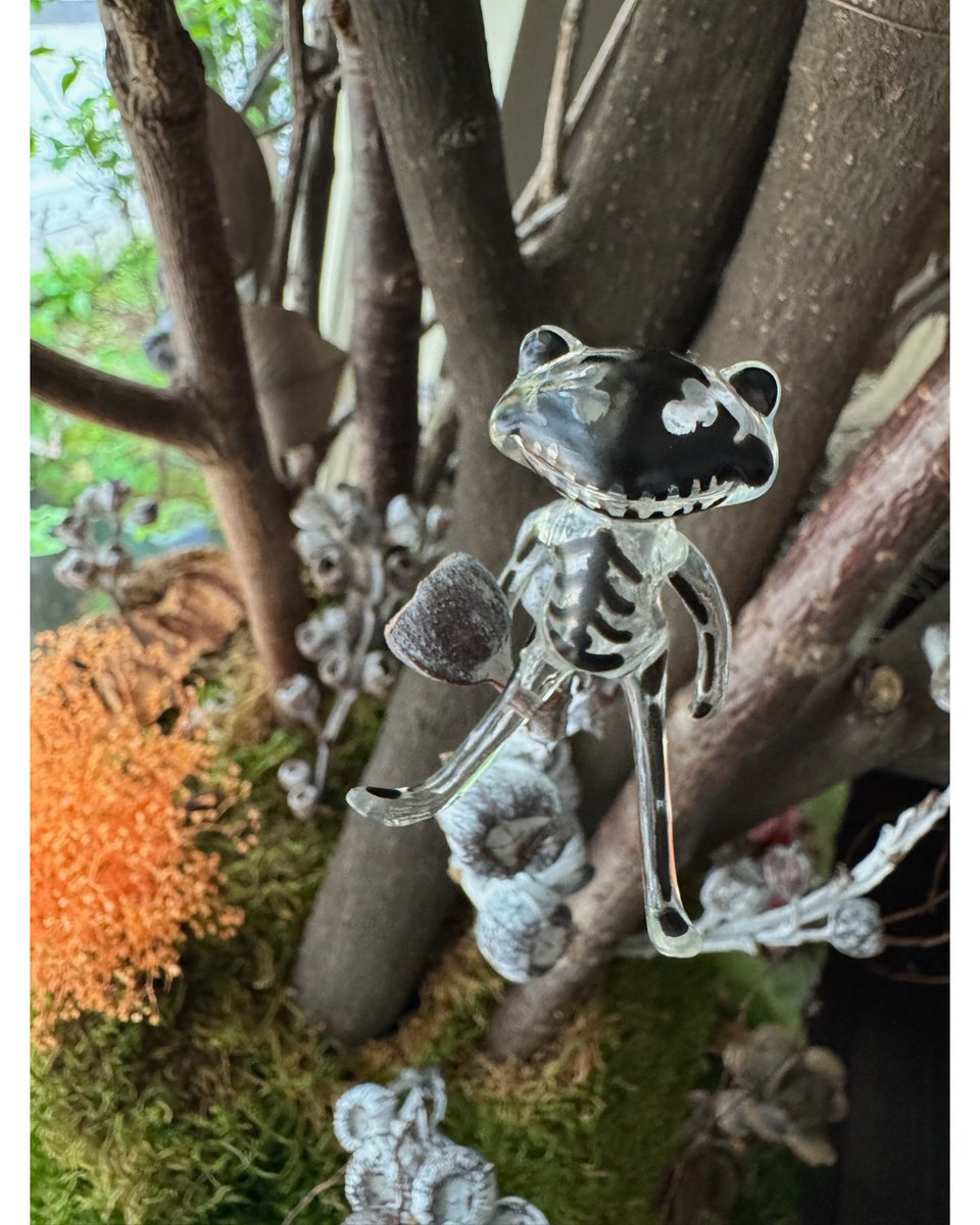 🫧もうすぐ登場🫧

イースター＆リボーン祭にピッタリな小さなフレンドたち🪽✨
人気のエンジェルフォーチュンワンダから、イースターVer.が新登場🐣
ガラスのように透き通ったクリアに細かなブラックペイントがカッコイイフォーチュンワンダも同時発売です♪