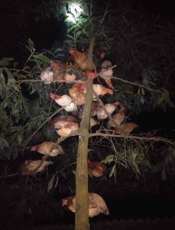 itshim🔸 tweet media