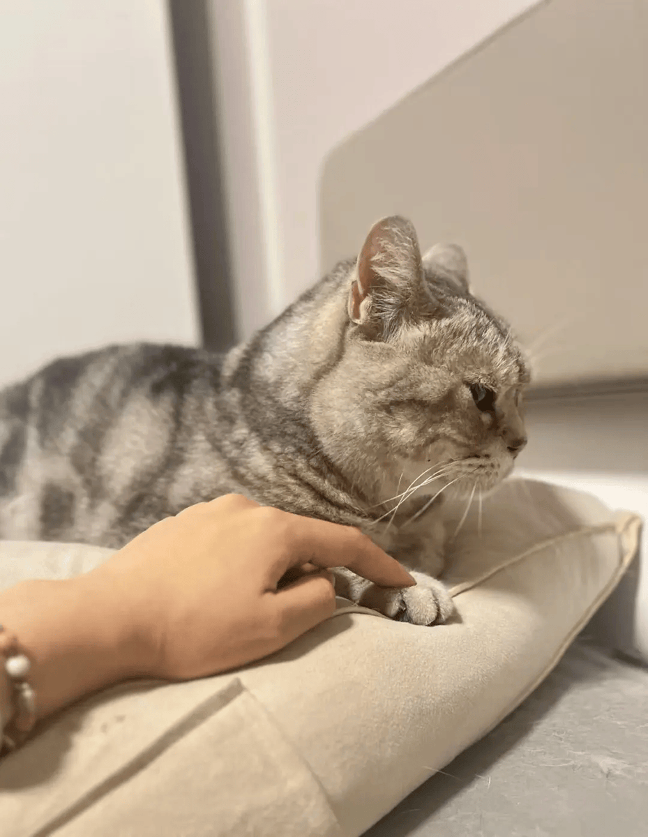 Jonathan Warnock tweet media