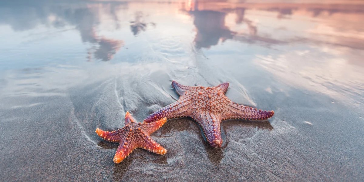 ナゾロジー@科学ニュースメディア tweet media