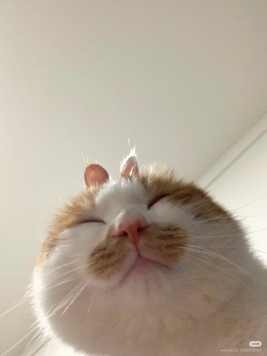 BloomingMoments tweet media