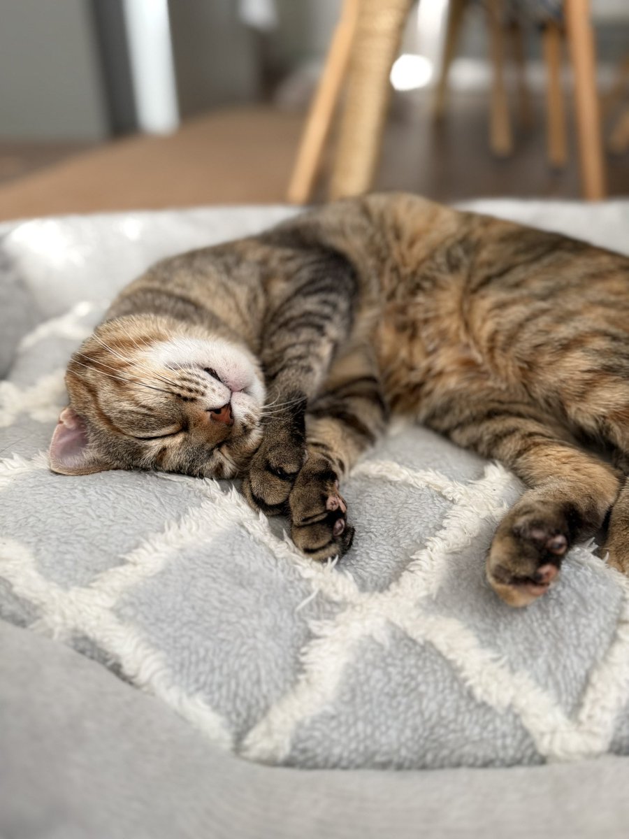 むぎちゃめ沼暮らし tweet media