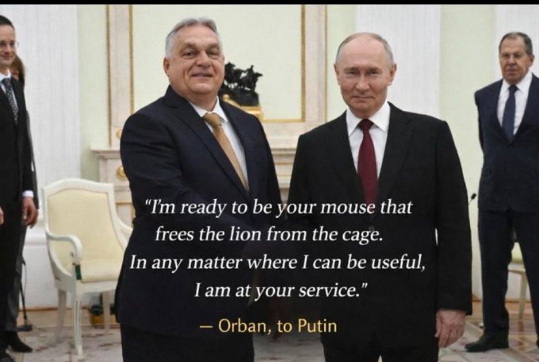 anne flynn tweet media