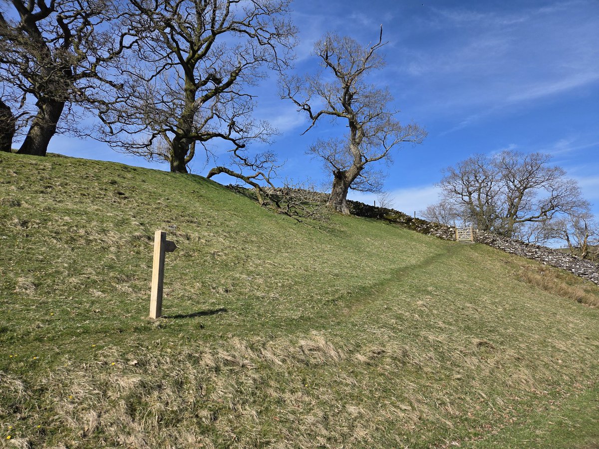 rptyler13's tweet image. Baby post at Shap Abbey, Cumbria for #fingerpostfriday 
#Cumbria #walking