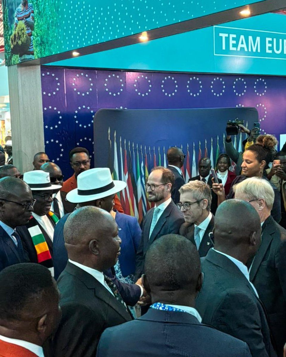 France in Zimbabwe 🇫🇷🇿🇼 tweet media
