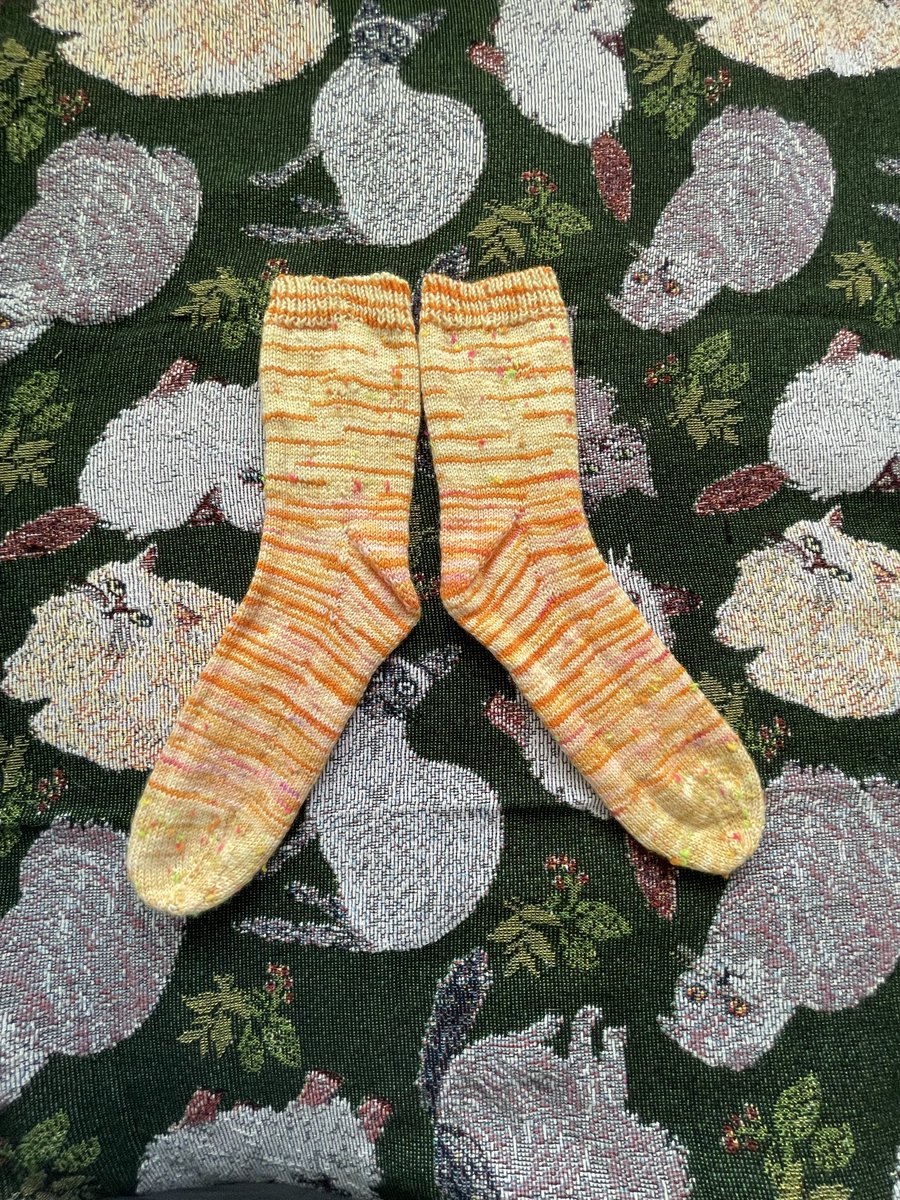 cham202208's tweet photo. オレンジ色の靴下
やっと編みあがりました

去年からノロノロ編んでいたもの🧦

同時編みなのでサイズは一緒のはず
sss対策は私は同時編みする事 https://t.co/KsCw1etXii