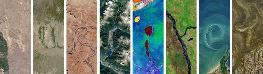 Altın Geyik tweet media