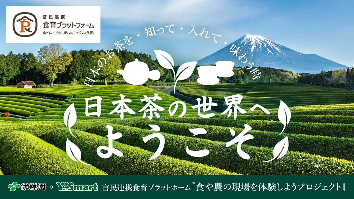 ワイズマート公式 tweet media