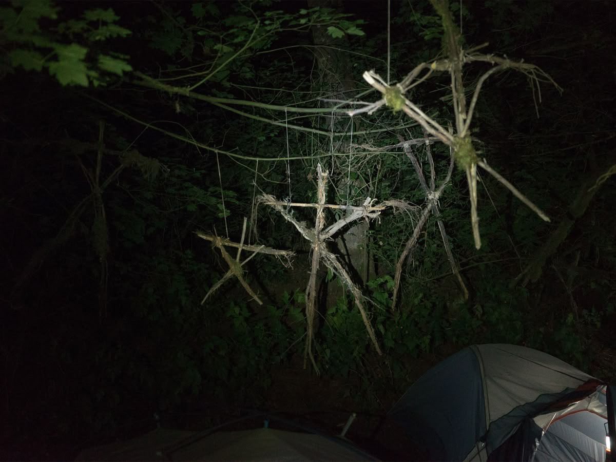 gabs ! ᨳິ ceo of dustin nation tweet media