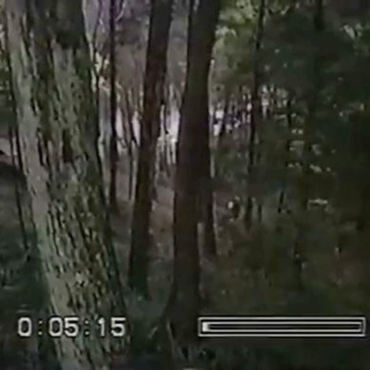 gabs ! ᨳິ ceo of dustin nation tweet media