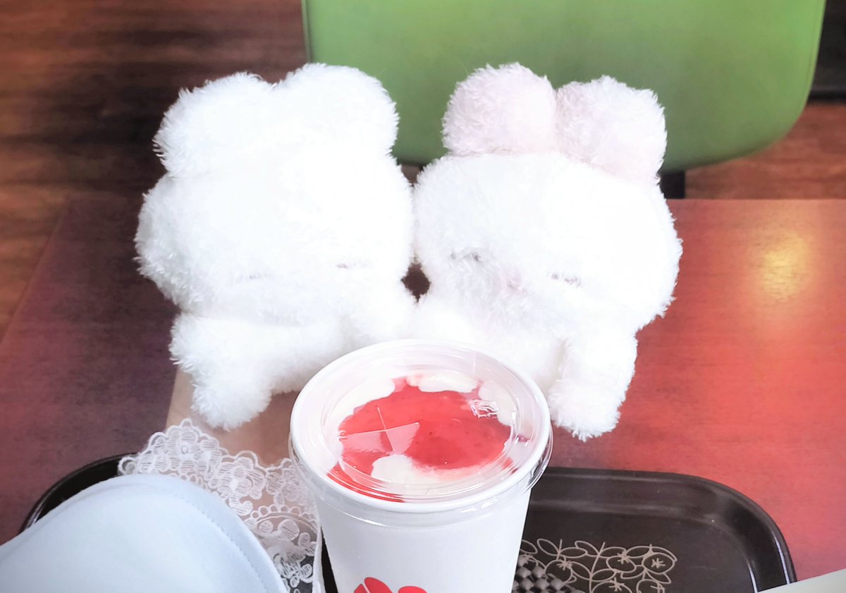 しろぬのちゃん tweet media