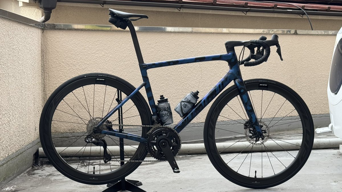 Tacos cycle🌮 tweet media