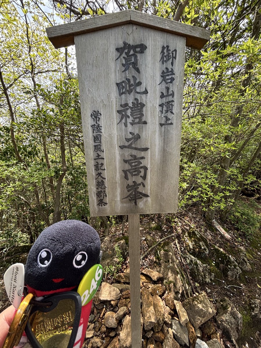 けしす tweet media