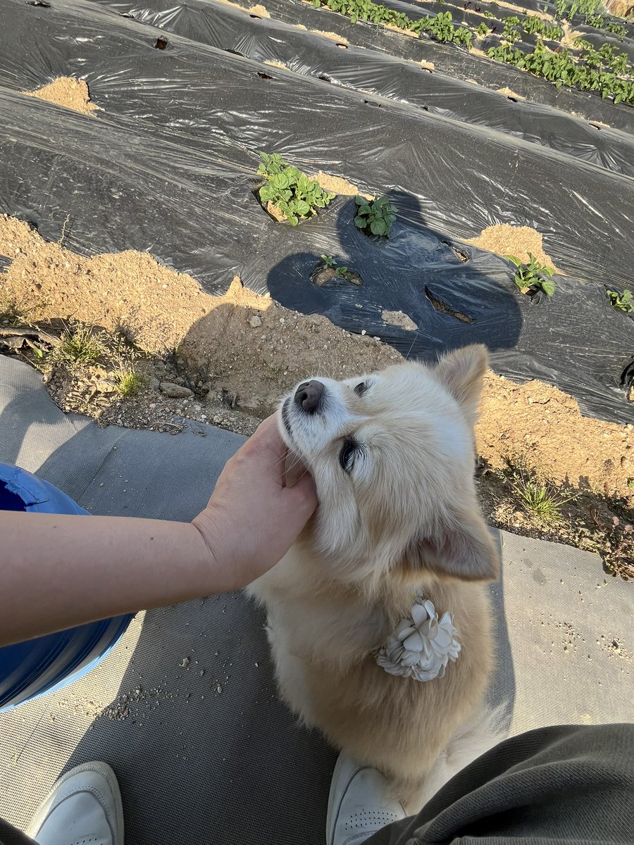 정영롱 tweet media