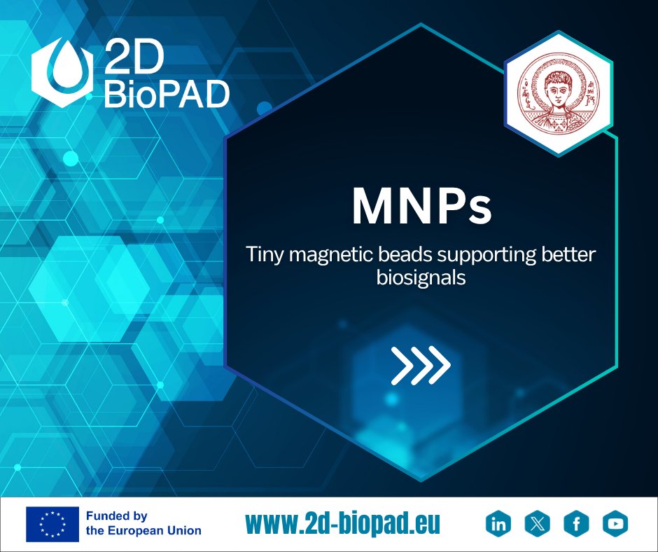 2D_BioPAD's tweet photo. 𝗛𝗼𝘄 𝗮𝗿𝗲 𝘄𝗲 𝘄𝗼𝗿𝗸𝗶𝗻𝗴 𝘁𝗼 𝗵𝗲𝗹𝗽 𝗺𝗼𝗿𝗲 𝗰𝗼𝘀𝘁-𝗲𝗳𝗳𝗶𝗰𝗶𝗲𝗻𝘁 𝗱𝗶𝗮𝗴𝗻𝗼𝘀𝘁𝗶𝗰𝘀 𝗳𝗼𝗿 #Neurodegenerative 𝗗𝗶𝘀𝗲𝗮𝘀𝗲𝘀?

🥁 𝘛𝘦𝘤𝘩 𝘚𝘱𝘰𝘵𝘭𝘪𝘨𝘩𝘵 #3: 𝘔𝘢𝘨𝘯𝘦𝘵𝘪𝘤 𝘯𝘢𝘯𝘰𝘱𝘢𝘳𝘵𝘪𝘤𝘭𝘦𝘴 (𝘔𝘕𝘗𝘴)

🔗 https://t.co/egzh2Vll8e https://t.co/gGlxdGbfWV