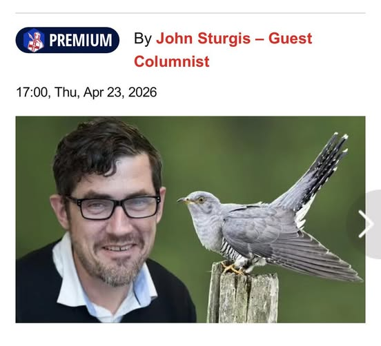 john sturgis tweet media