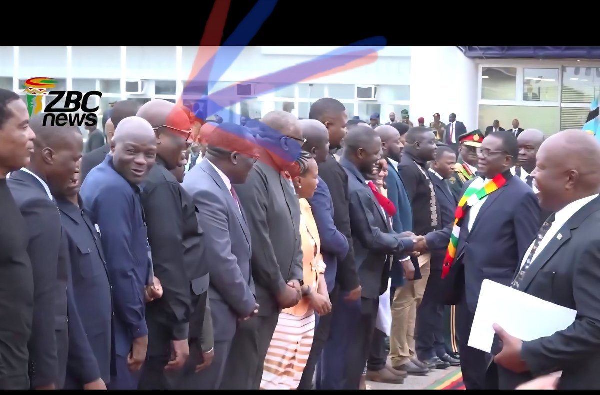 Levai N. tweet media