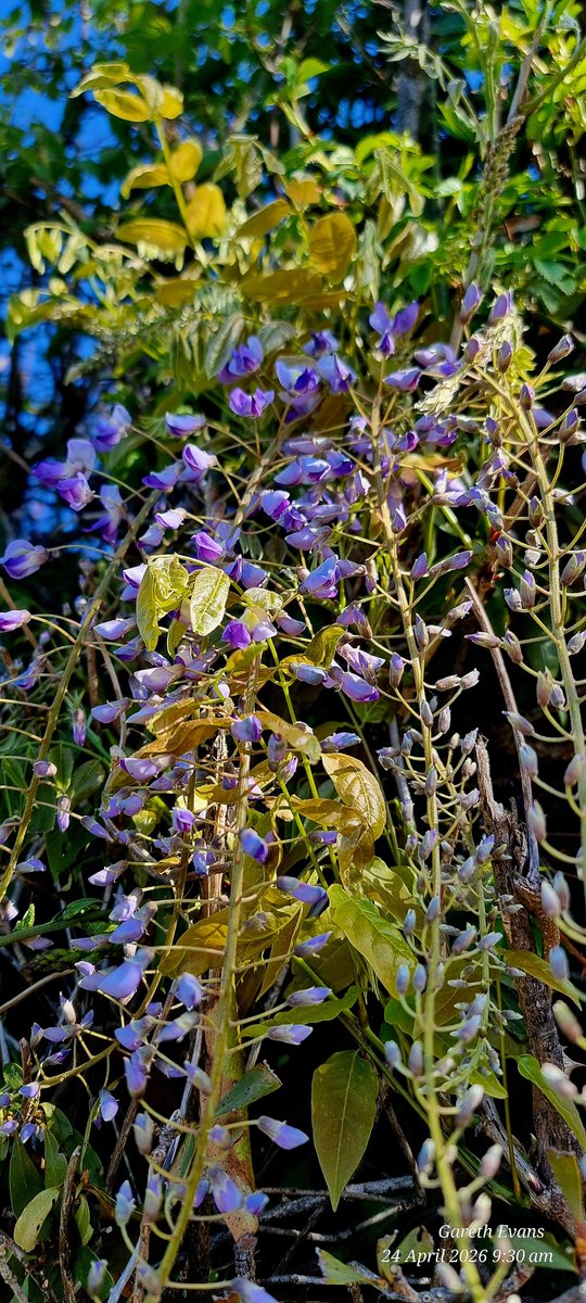 gareth0108's tweet image. #Cornwall