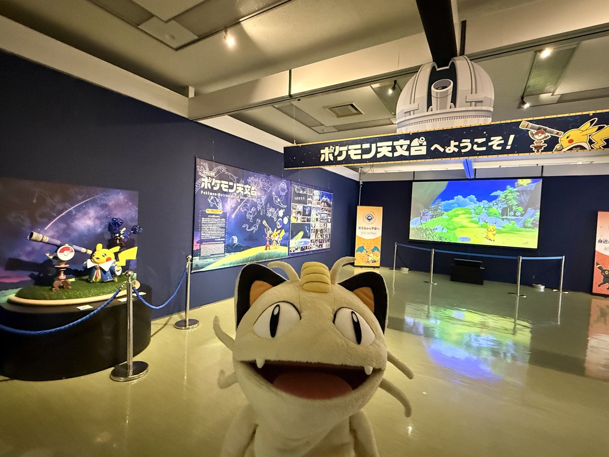 ポケモンだいすきクラブ編集部【公式】 tweet media