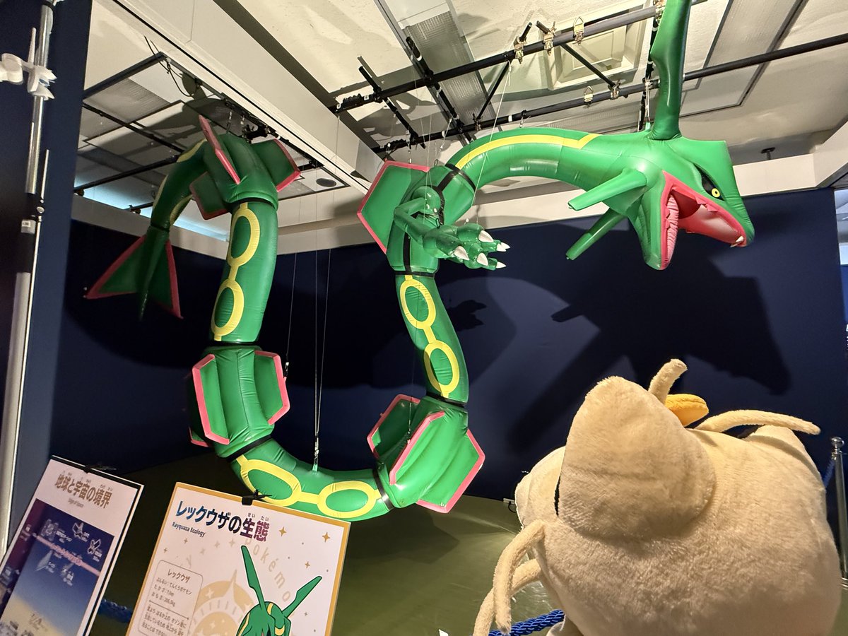 ポケモンだいすきクラブ編集部【公式】 tweet media