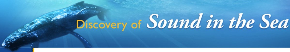 HiAOOS_project's tweet image. 🎧 Webinar | Observing the changing #ArcticOcean with #Acoustics | 29 April 2026 - 18:00 CEST

Join our upcoming webinar to explore how #AcousticTechnologies are transforming long-term #OceanObservation.

👉 Register now: shorturl.at/bE58I
