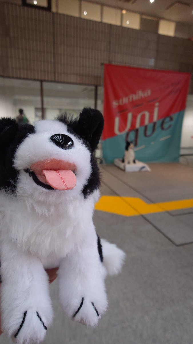 高知タオルの色ってとさでんの色?
#sumika