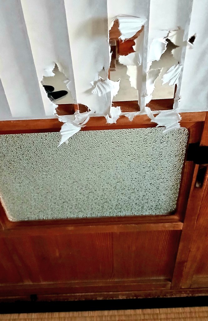 きょんすけ tweet media