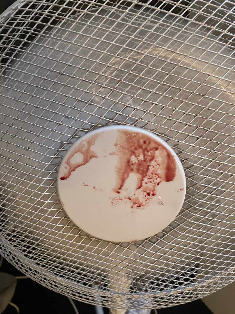 ᴋ | ꜱʜᴇᴅᴛᴡᴛ tweet media