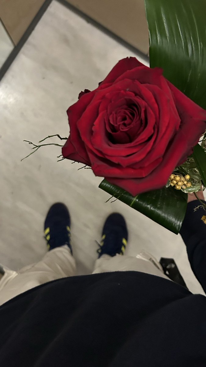 RRocabert's tweet photo. 23 d’abril del 2026🌹🐲❤️‍🔥 https://t.co/8CKsNhnAzn
