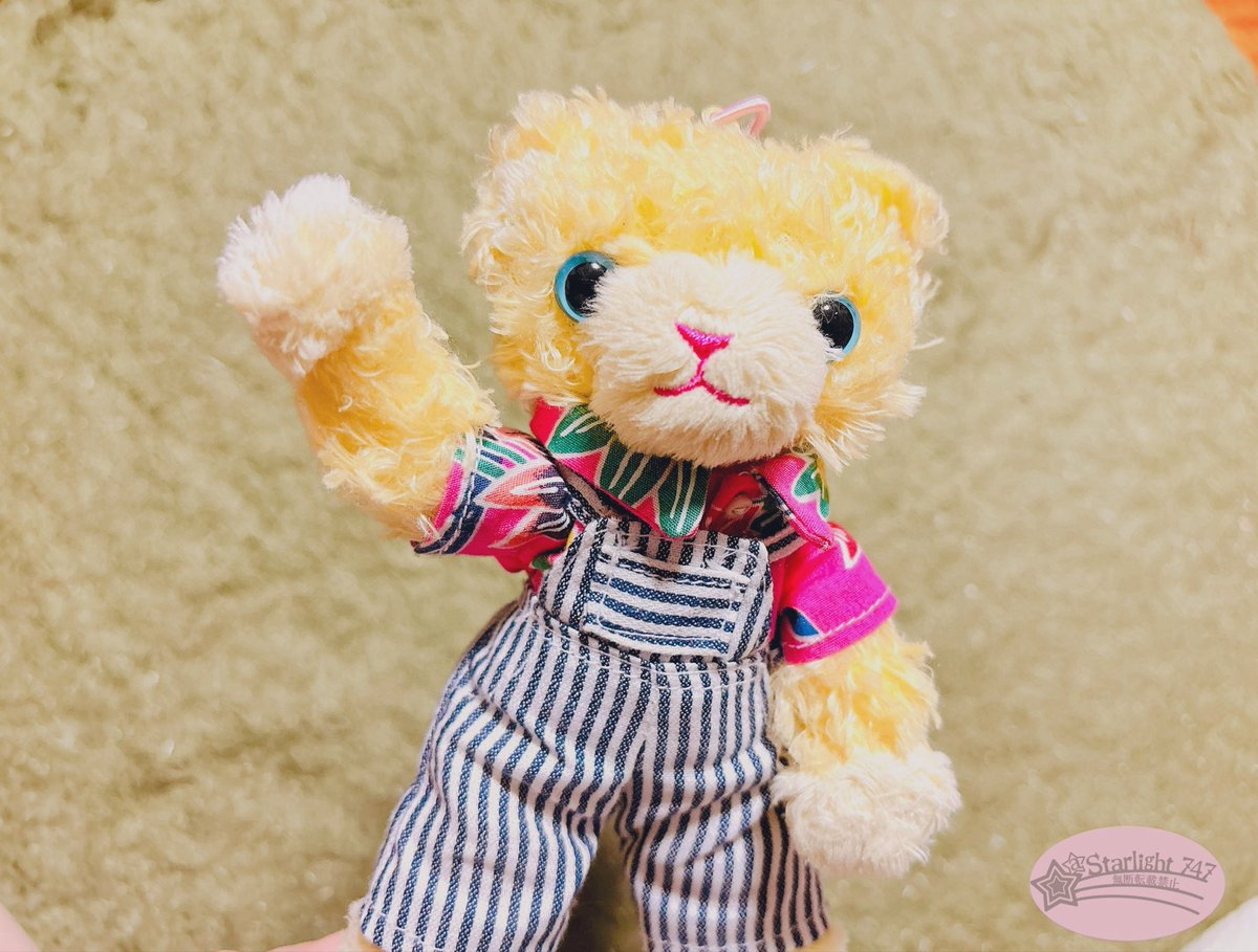 星✨(🌈)…返事🐢… tweet media