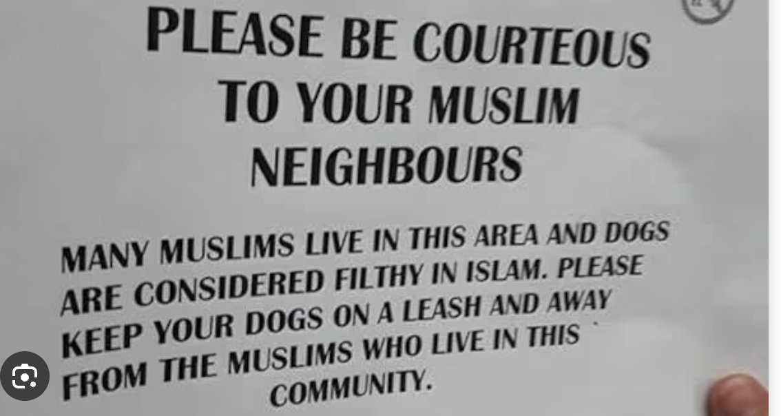 Restore For Dogs tweet media