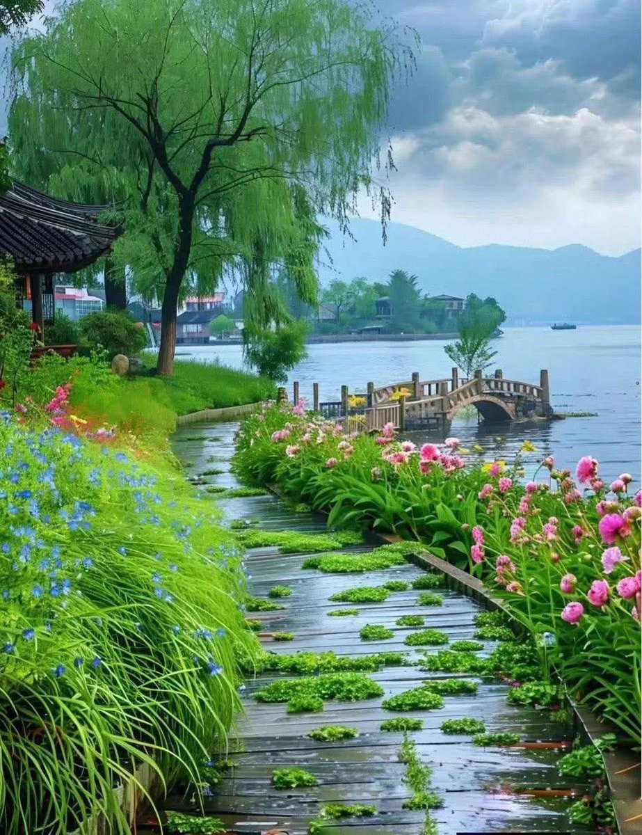 سميرⵙⴰⵎⵉⵔSamir💛💙 tweet media