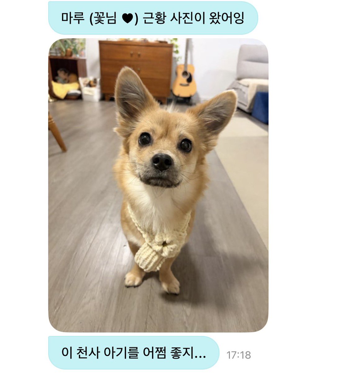 차로 tweet media