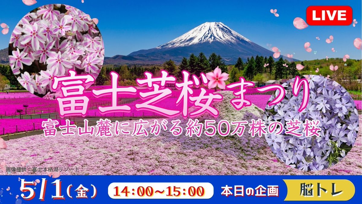 旅介TV｜旅の楽しみをお届け！ tweet media