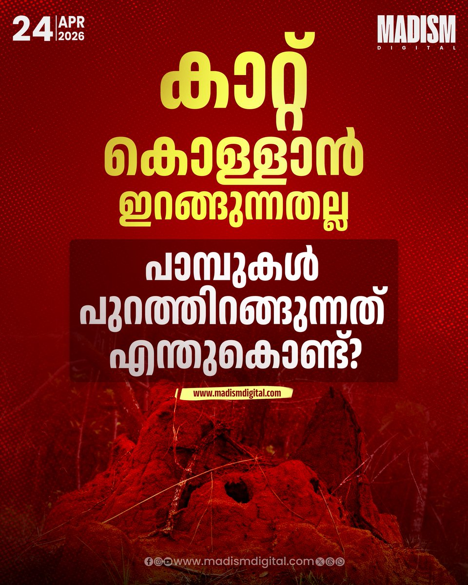 madism_digital's tweet image. ചൂടിന് പുറമെ പാമ്പുകളെ പുറത്തെത്തിക്കുന്ന ശാസ്ത്രീയ കാരണങ്ങൾ

Read full story : madismdigital.com/news/kerala/sn…
.
.
.
#WildlifeFacts #HeatWave #Madismdigital

Extreme heat forces snakes out of their hiding places in search of cooler shelter, food, and better conditions.