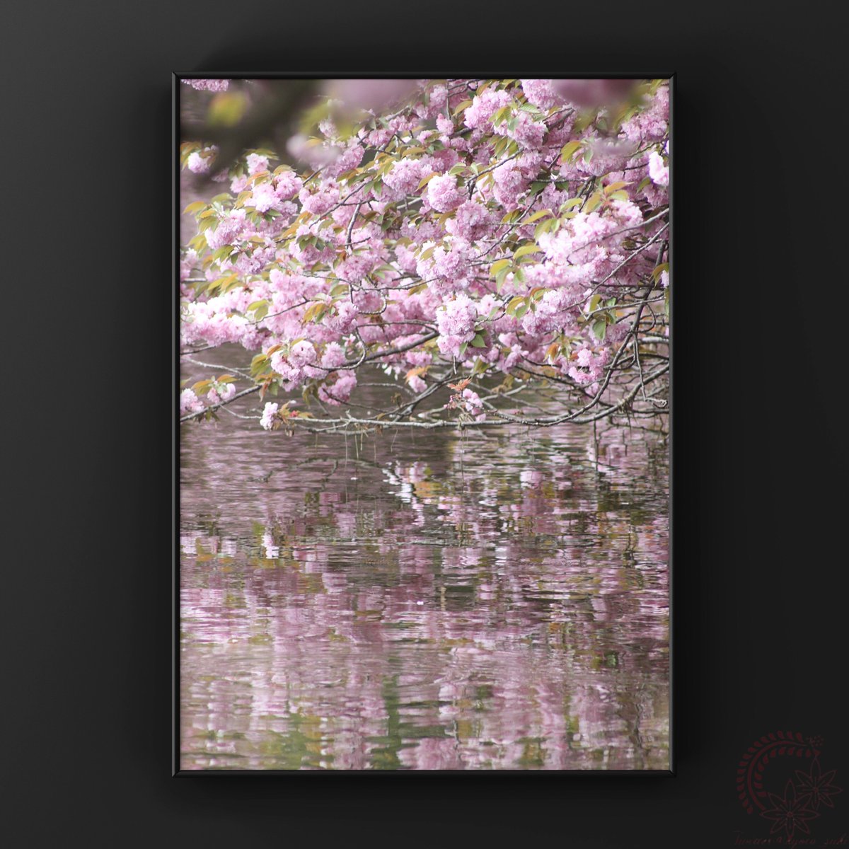 kyoto_suki's tweet photo. お遊びf^_^;)
何時ぞやの車窓から。#日野川ダム 桜🌸
CANON #EOS50D + #Olympus F.Zuiko AUTO-T 300mm F4.5 https://t.co/raYmLGWE12