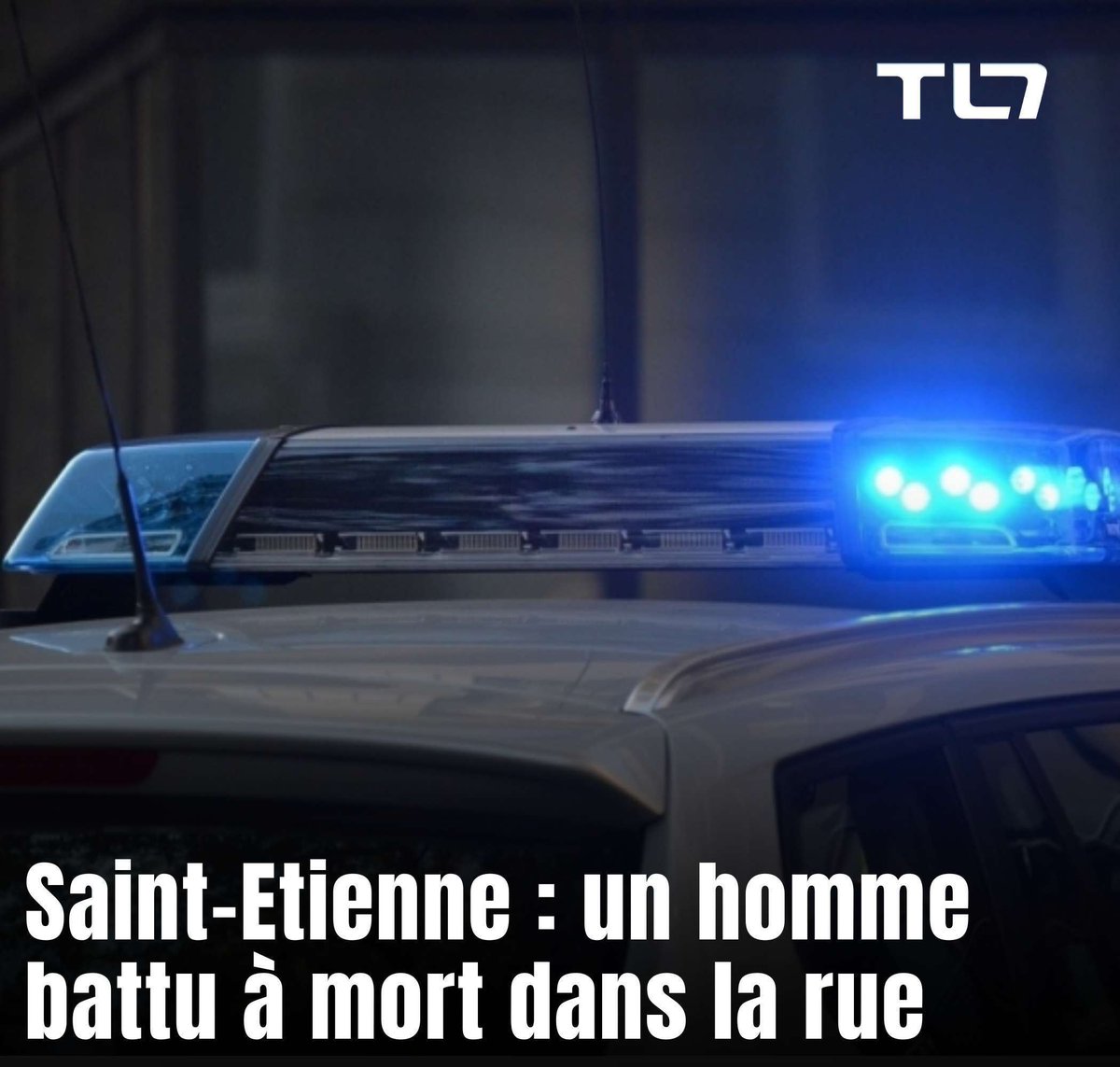 TL7 tweet media