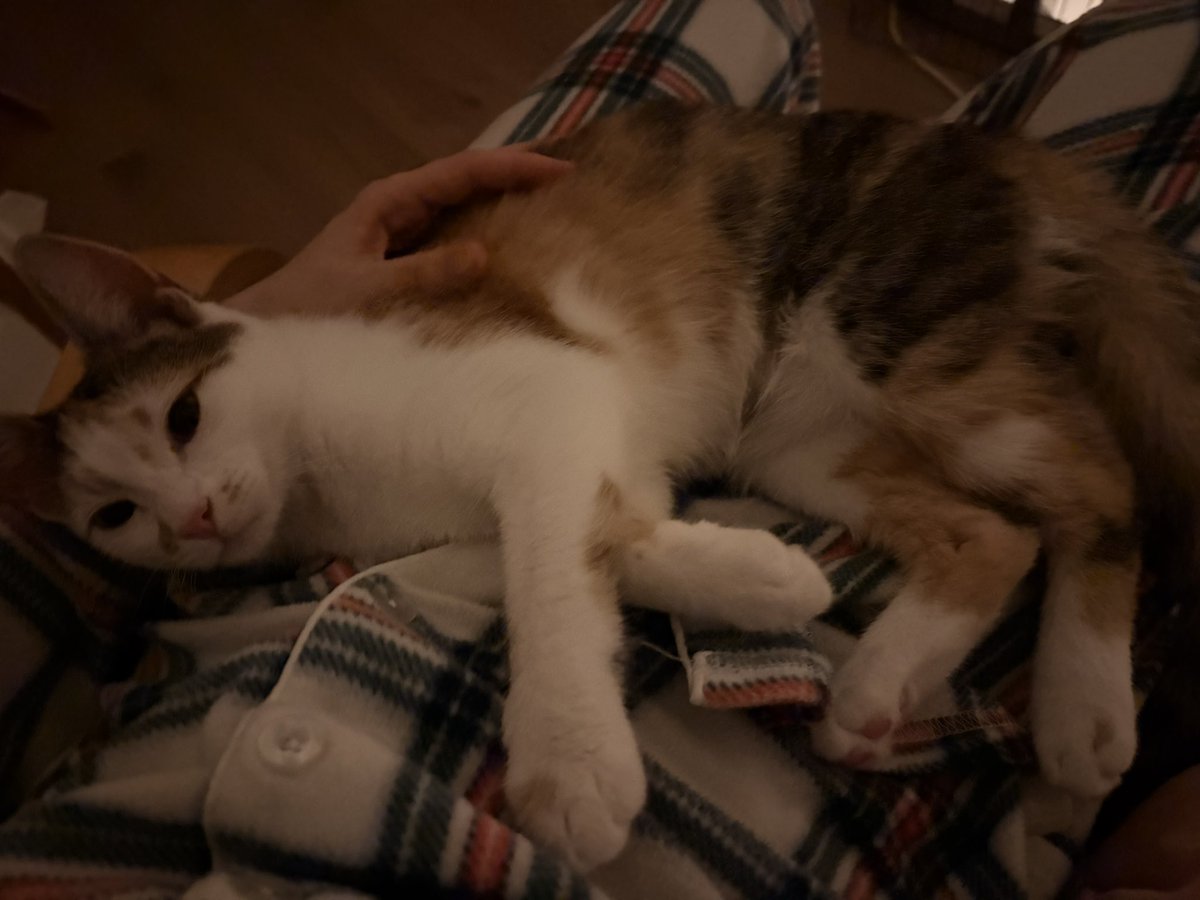 ryn (& apple) ‧₊ 🍒 ᵎᵎ tweet media