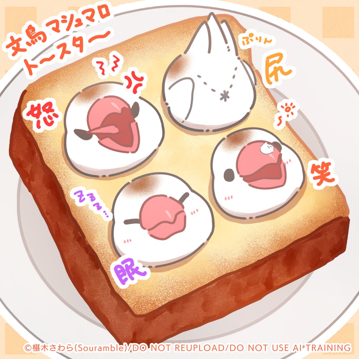 文鳥マシュマロトースターを召し上がれ～　#javasparrow　#文鳥