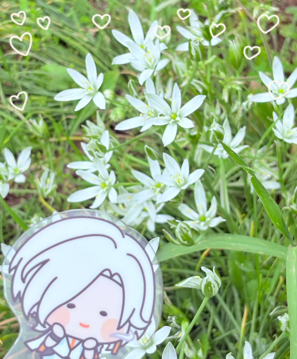 けいちんページ 確認用❁⃘*.゜ ✻*˸ꕤ*˸*⋆。✻*˸ꕤ*˸*⋆。✻*˸ꕤ*˸*⋆。