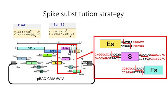 lifeisgood⚡️ tweet media