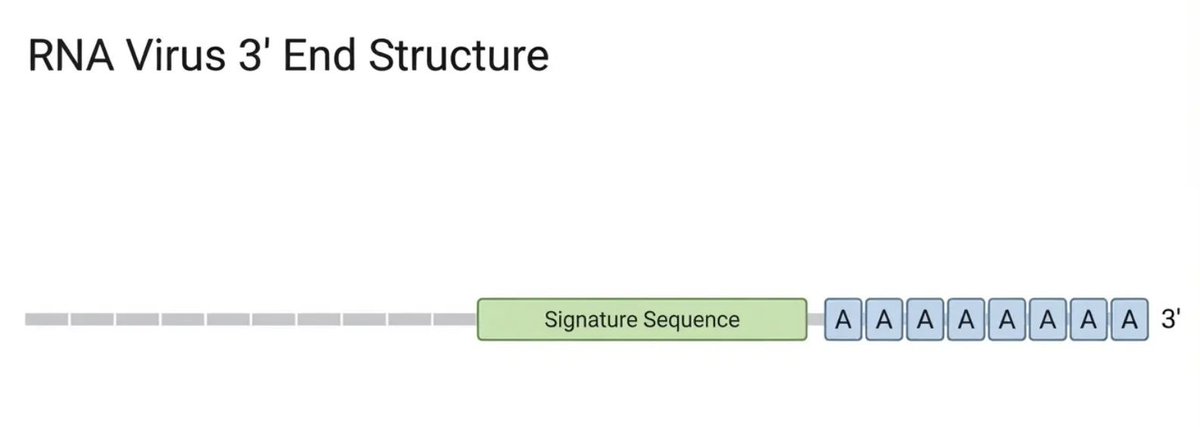 lifeisgood⚡️ tweet media