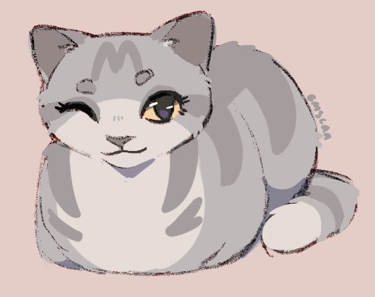 Millie loaf 
#millie #warriorcats #loaf