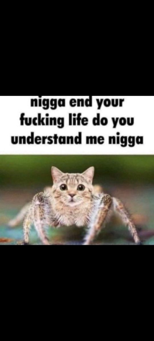 Fiery Arguer tweet media