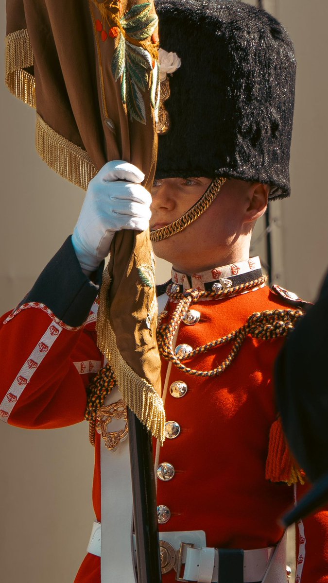 First Fusiliers tweet media
