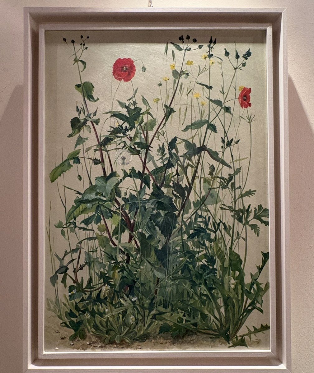 Segnalo che oggi, alle 18, inaugura la mostra di miei dipinti presso la cosiddetta “Sala Rosa” di via Garibaldi 3/B a Budrio (BO). #Budrio #painting #flowers