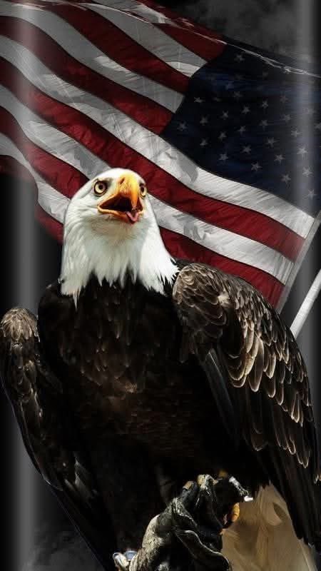 JamesHu27192912's tweet image. I Pledge Allegiance to the Flag Of The United States of America and to the Republic For Which It Stands, One Nation Under God, Indivisible, With Liberty and Justice for All. God Bless America! #OustTreasonousPoliticians #RestoreOurFreedoms  #MAGA
