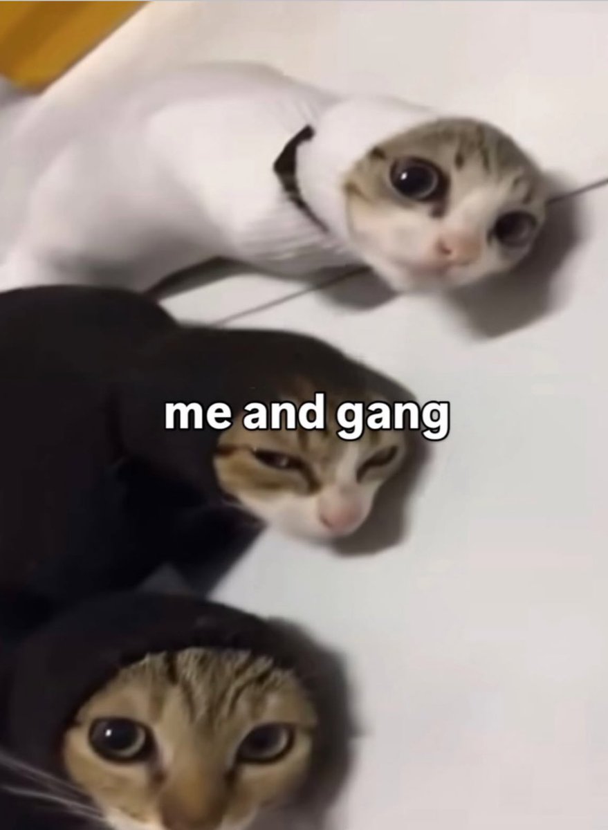 TheAbnormalFetus tweet media