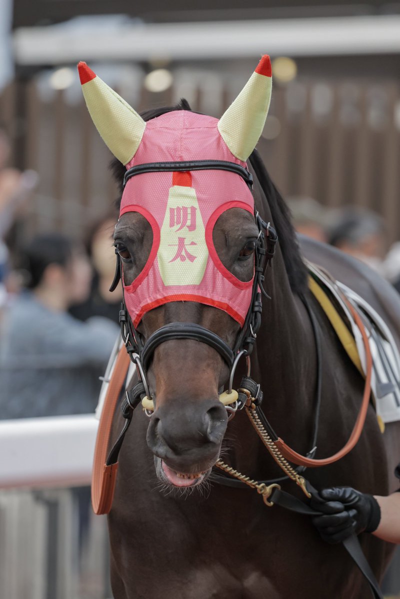 ちゃぼ tweet media