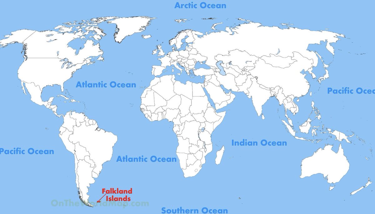 Visegrád 24 tweet media